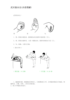 武术基本功.doc