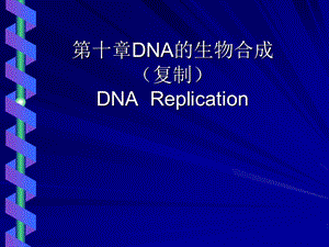 第十章DNA的生物合成课件.ppt