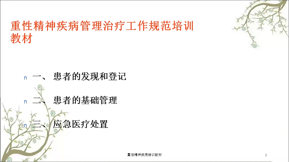 重性精神疾病培训教材ppt课件.ppt_第1页