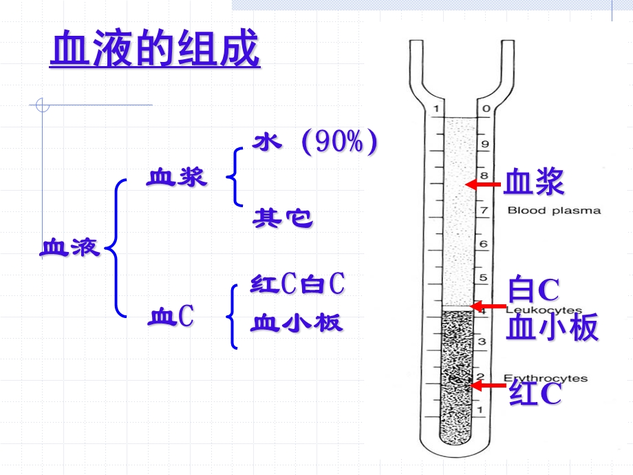 组织学与胚胎学 血液、淋巴和血发生课件.ppt_第3页