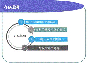 第六章-酶反应器课件.ppt