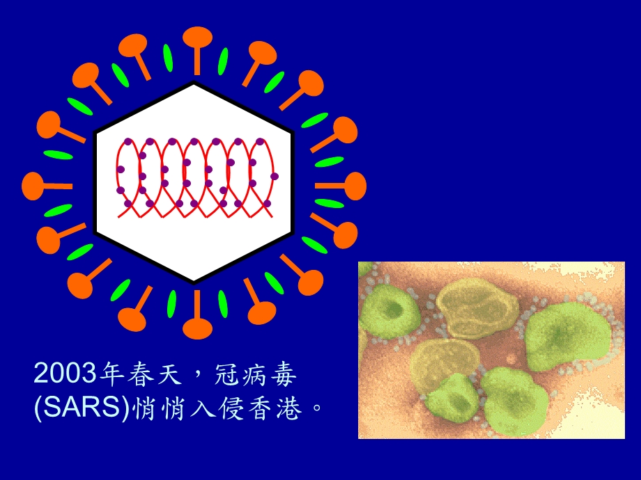 采取不同方法治理内科及药物治疗课件.ppt_第3页