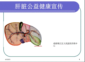 肝脏公益健康宣传课件.ppt