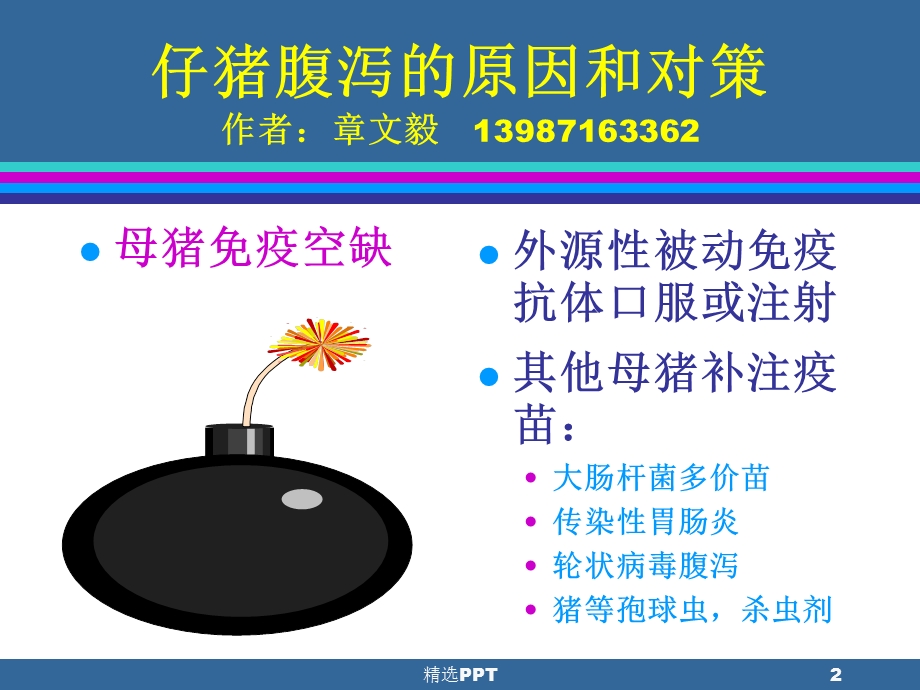 仔猪腹泻的原因和对策课件.ppt_第2页