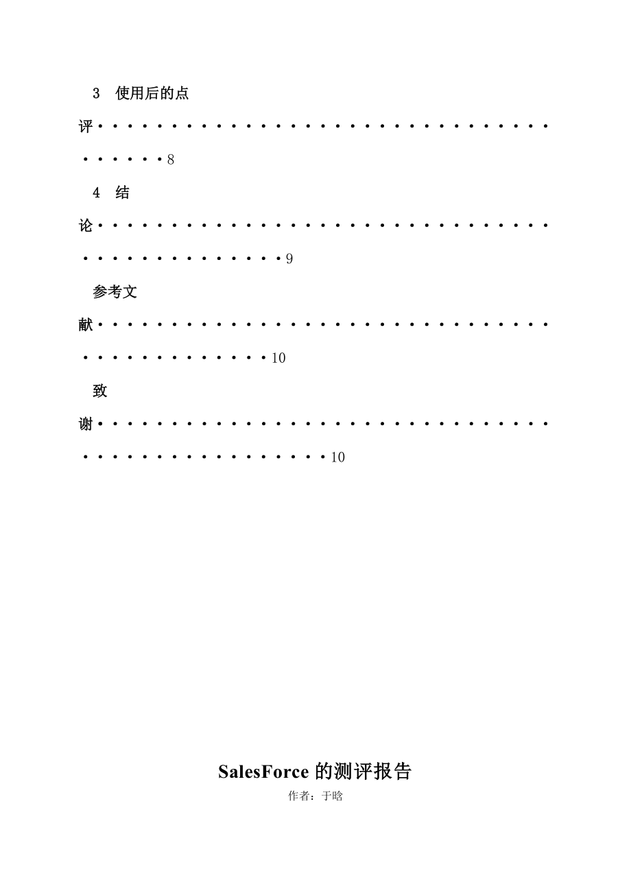 salesforce.doc_第3页