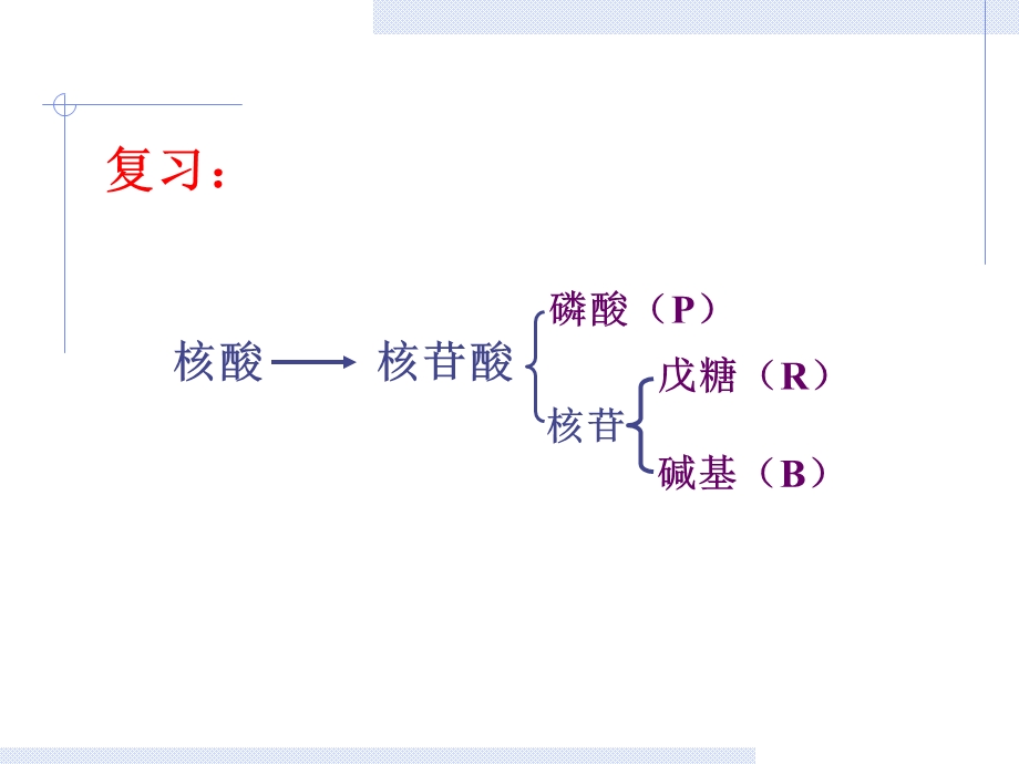 生物化学 核酸的降解与核苷酸代谢课件.ppt_第2页