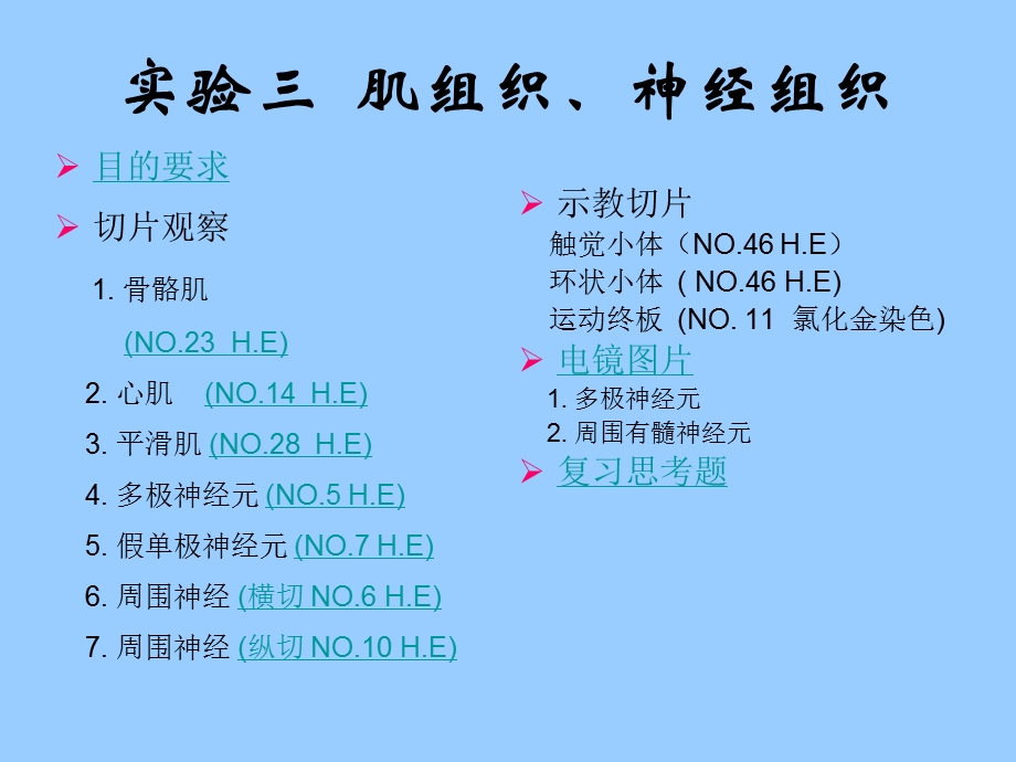 实验3肌组织和神经组织课件.ppt_第1页