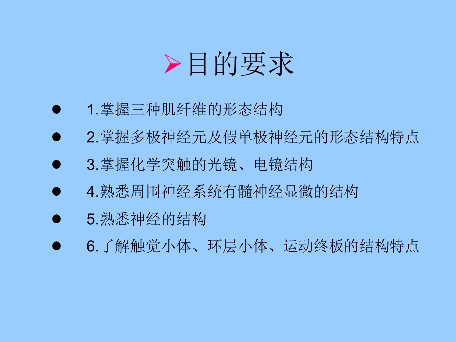 实验3肌组织和神经组织课件.ppt_第2页