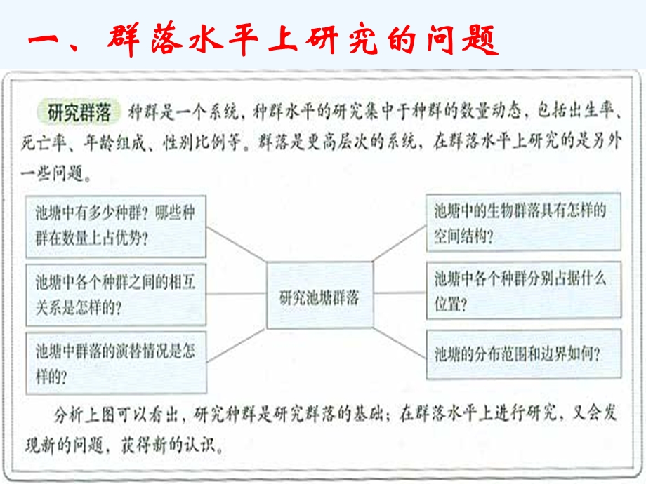 节群落的结构课件.ppt_第2页