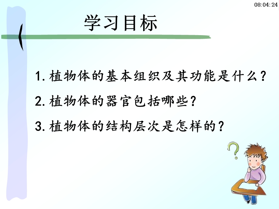 第三节植物体的结构层次课件.ppt_第2页