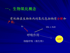 第六章生物氧化课件.ppt