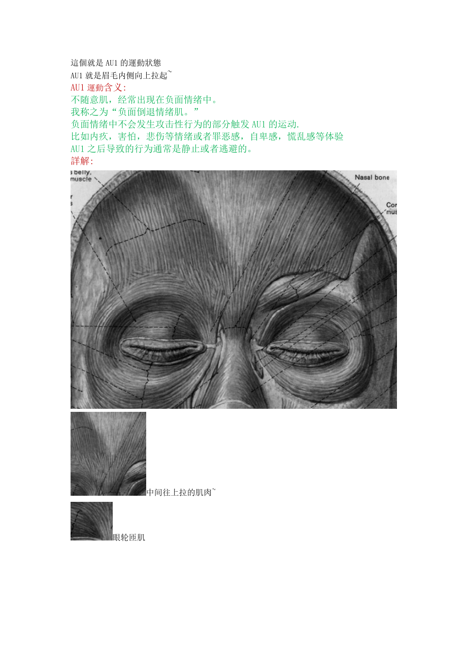 微表情分析FACS.doc_第2页