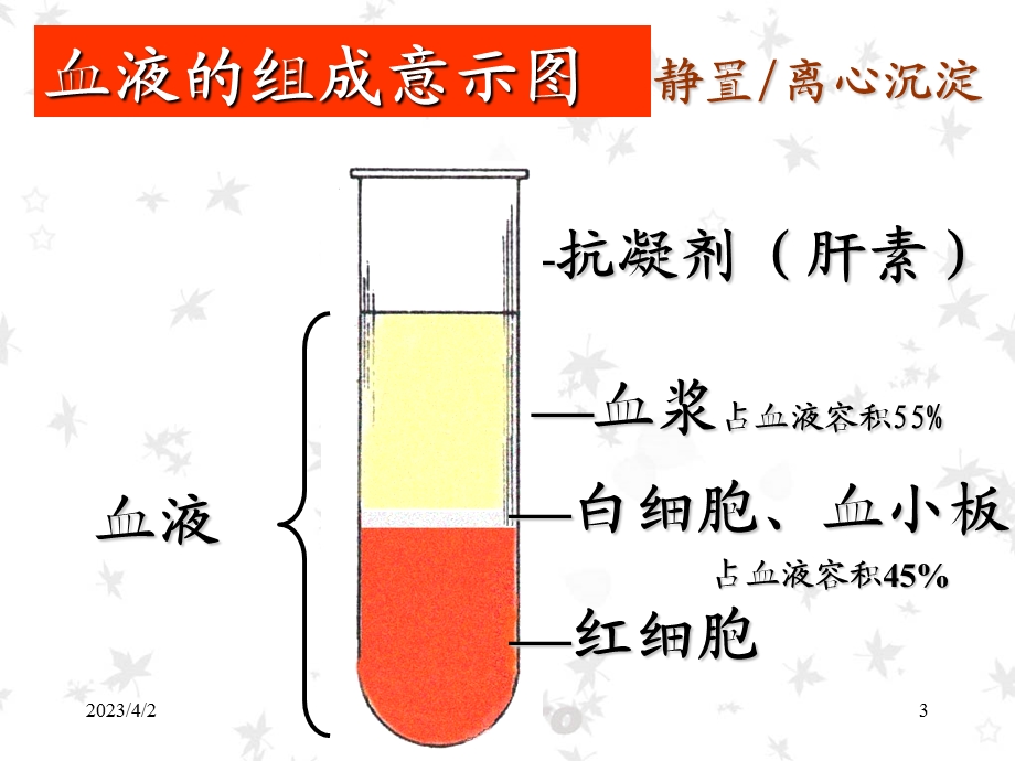 组织胚胎学ppt课件--血液.ppt_第3页