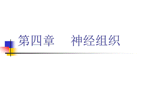 组织与胚胎学 04 神经组织课件.ppt