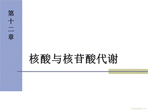 生物化学_核酸与核苷酸代谢课件.ppt