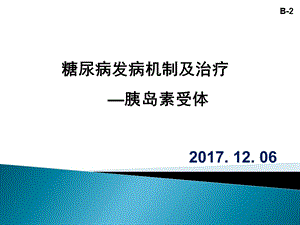 糖尿病发病机制和治疗 课件.ppt