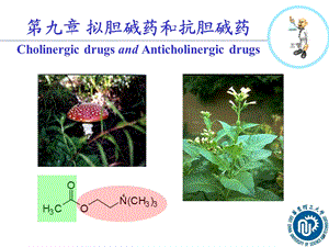 第十章拟胆碱药和抗胆碱药2011课件.ppt