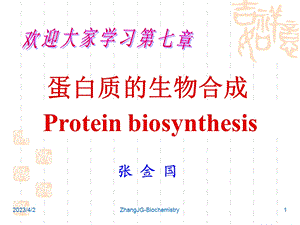 生物化学7第七章 蛋白质的生物合成 课件.ppt