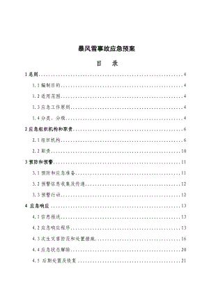 暴风风雪应急预案.doc