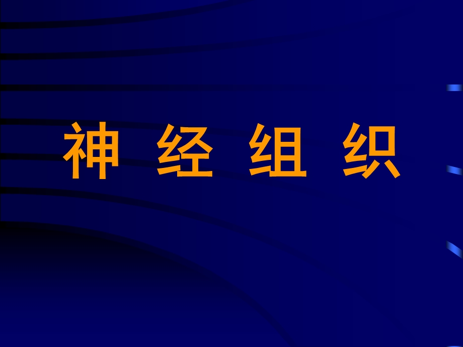 组织学与胚胎学课件神经组织.ppt_第1页