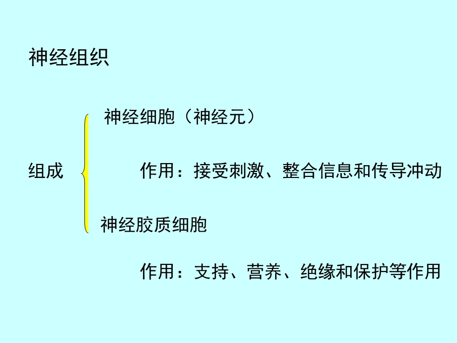 组织胚胎学ppt课件 11 神经组织.ppt_第2页