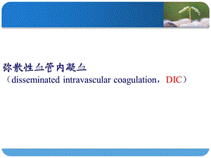 第十二章 弥散性血管内凝血幻灯片课件.ppt