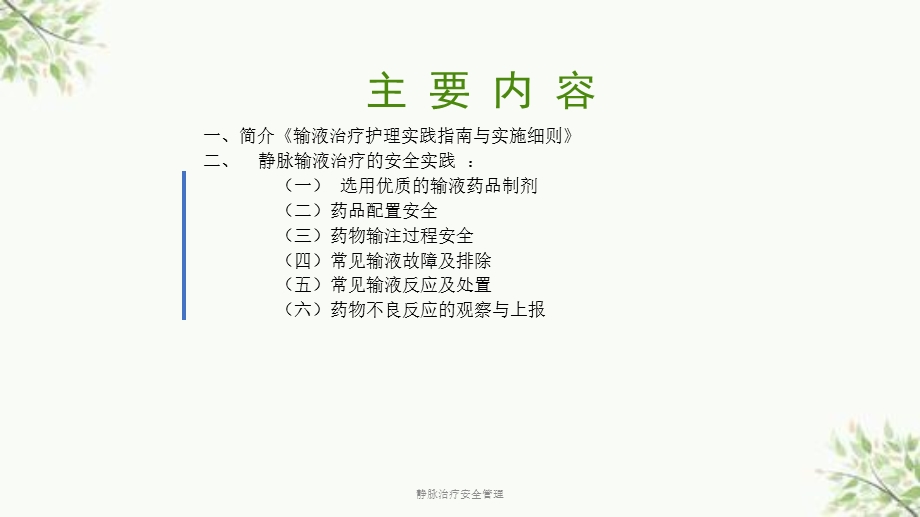 静脉治疗安全管理ppt课件.ppt_第2页