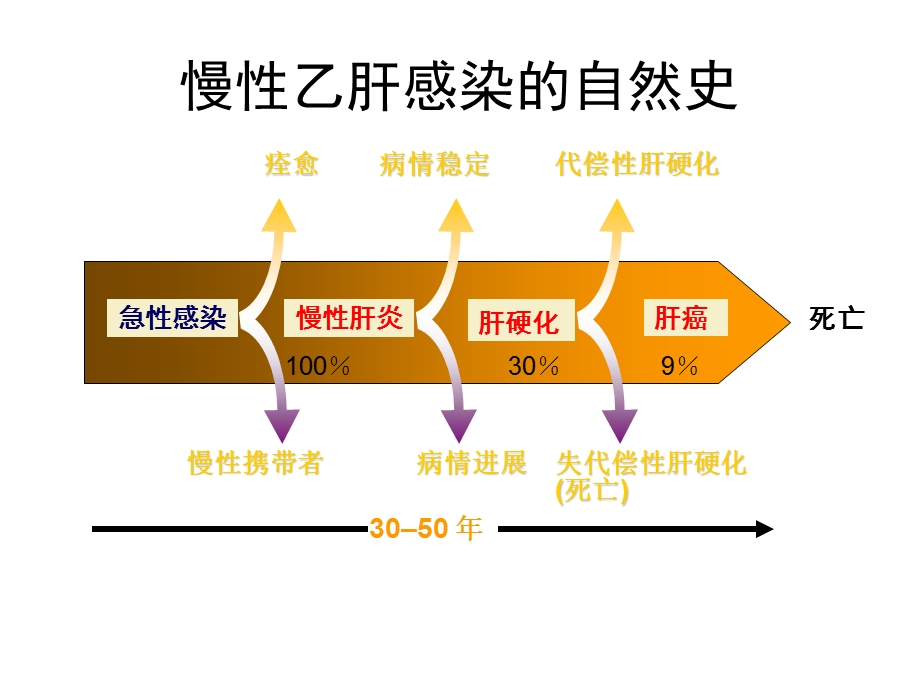 慢性乙型肝炎相关的几个问题课件.ppt_第2页