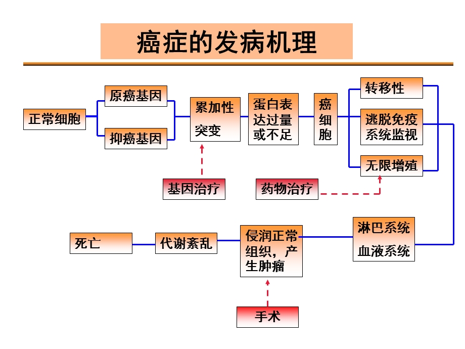 常见的抗癌药物课件.ppt_第3页