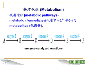 生物化学ppt课件 生物化学复习资料 第四章 糖代谢终稿.ppt