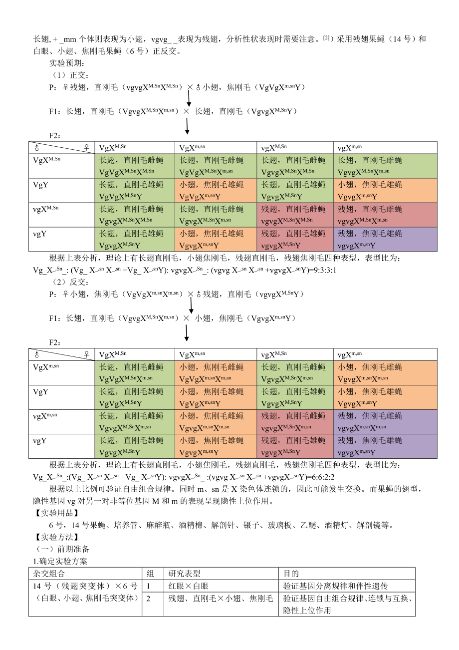 4793696049果蝇杂交实验报告.doc_第3页