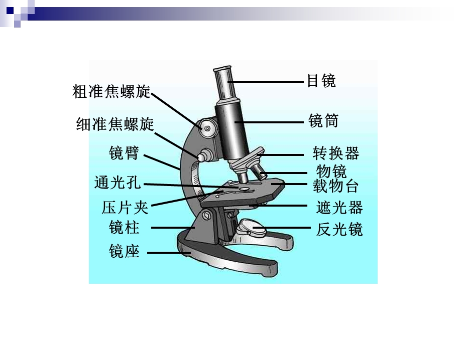 第一节-探索生命的器具课件.ppt_第2页