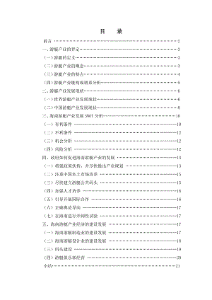 海南游艇产业发展战略研究.doc