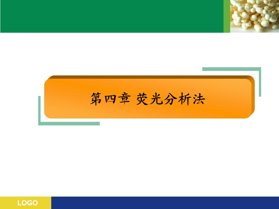 第四章 荧光分析法 现代食品检测技术 教学ppt课件.ppt_第1页