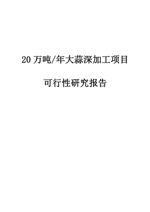 20万吨紫皮大蒜深加工项目可行性研究报告.doc