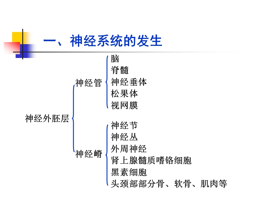 组织胚胎学-25神经系统、眼和耳的发生课件.ppt_第2页