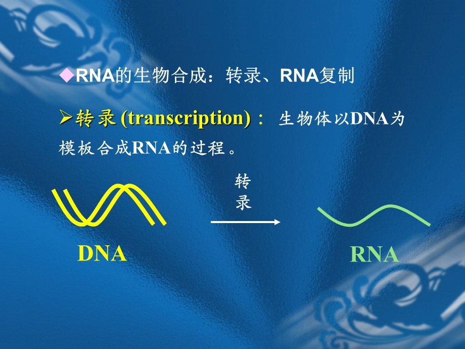 生物化学ppt课件第十三章 RNA的生物合成.ppt_第2页