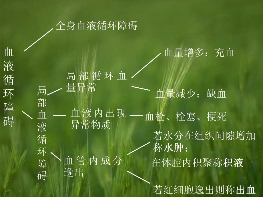 第二章 局部血液循环障碍 课件.ppt_第2页