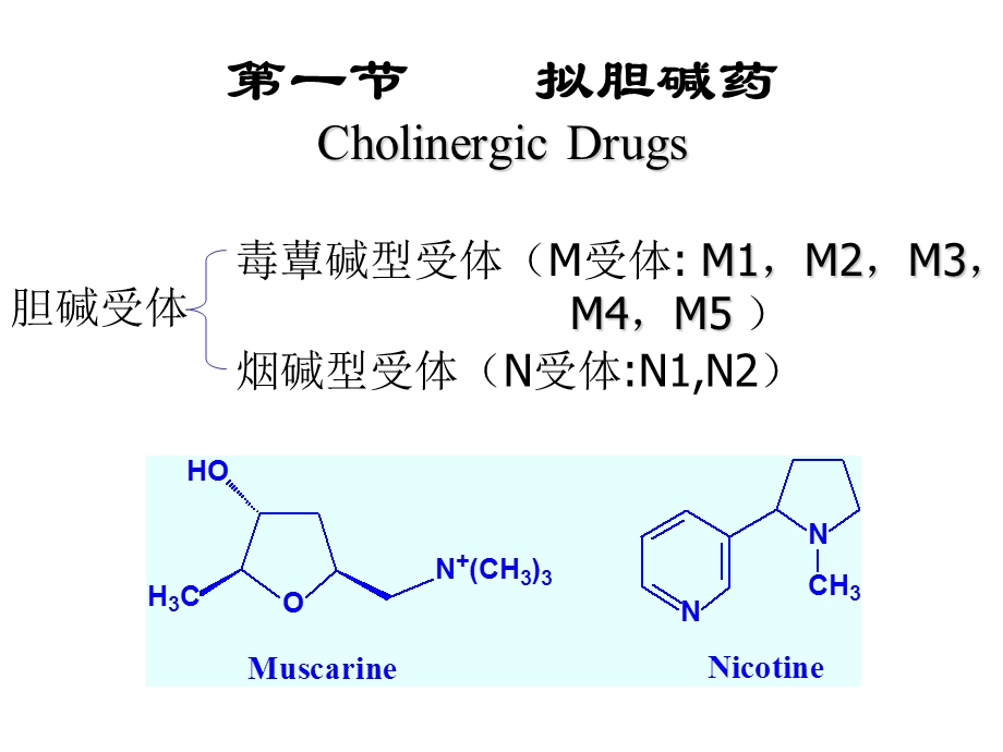 第七章 拟胆碱药 抗胆碱药课件.ppt_第2页