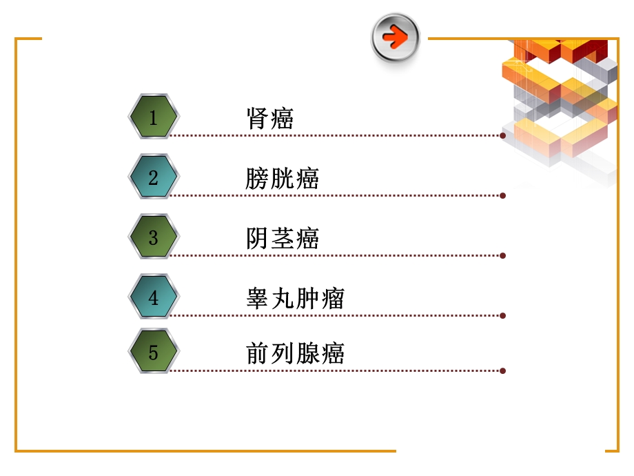 泌尿生殖系统肿瘤课件.ppt_第2页