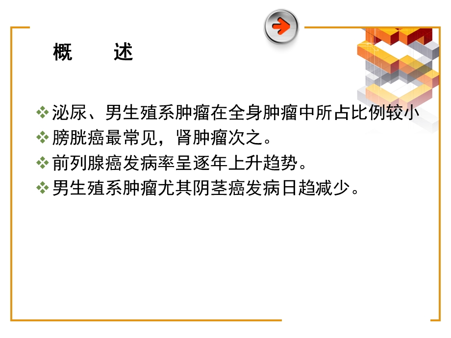 泌尿生殖系统肿瘤课件.ppt_第3页