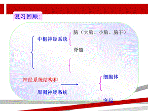 第三节神经调节的基本方式ppt课件人教版.ppt