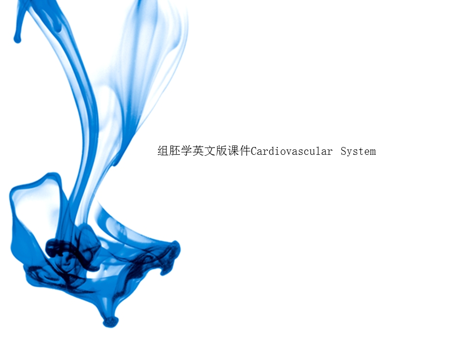 组胚学英文版ppt课件Cardiovascular-System.ppt_第1页