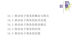 第十六章移动电子商务课件.ppt