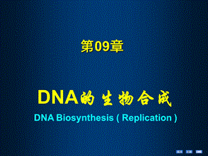 第09章DNA的生物合成课件.ppt