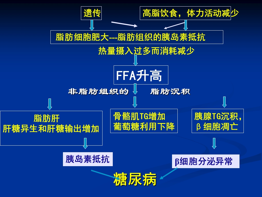 糖尿病研究的新进展课件.ppt_第3页