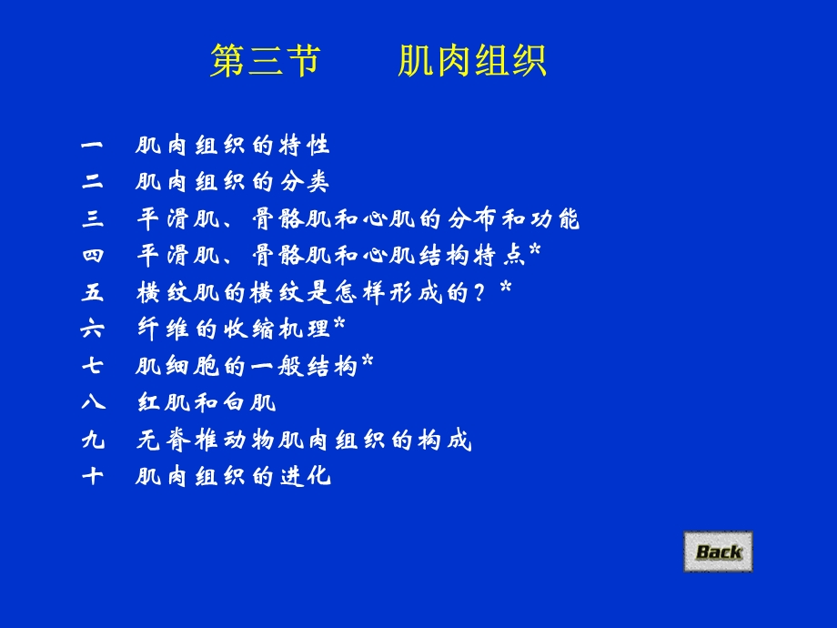 组织胚胎学CAIppt课件 第三节 肌肉组织.ppt_第3页