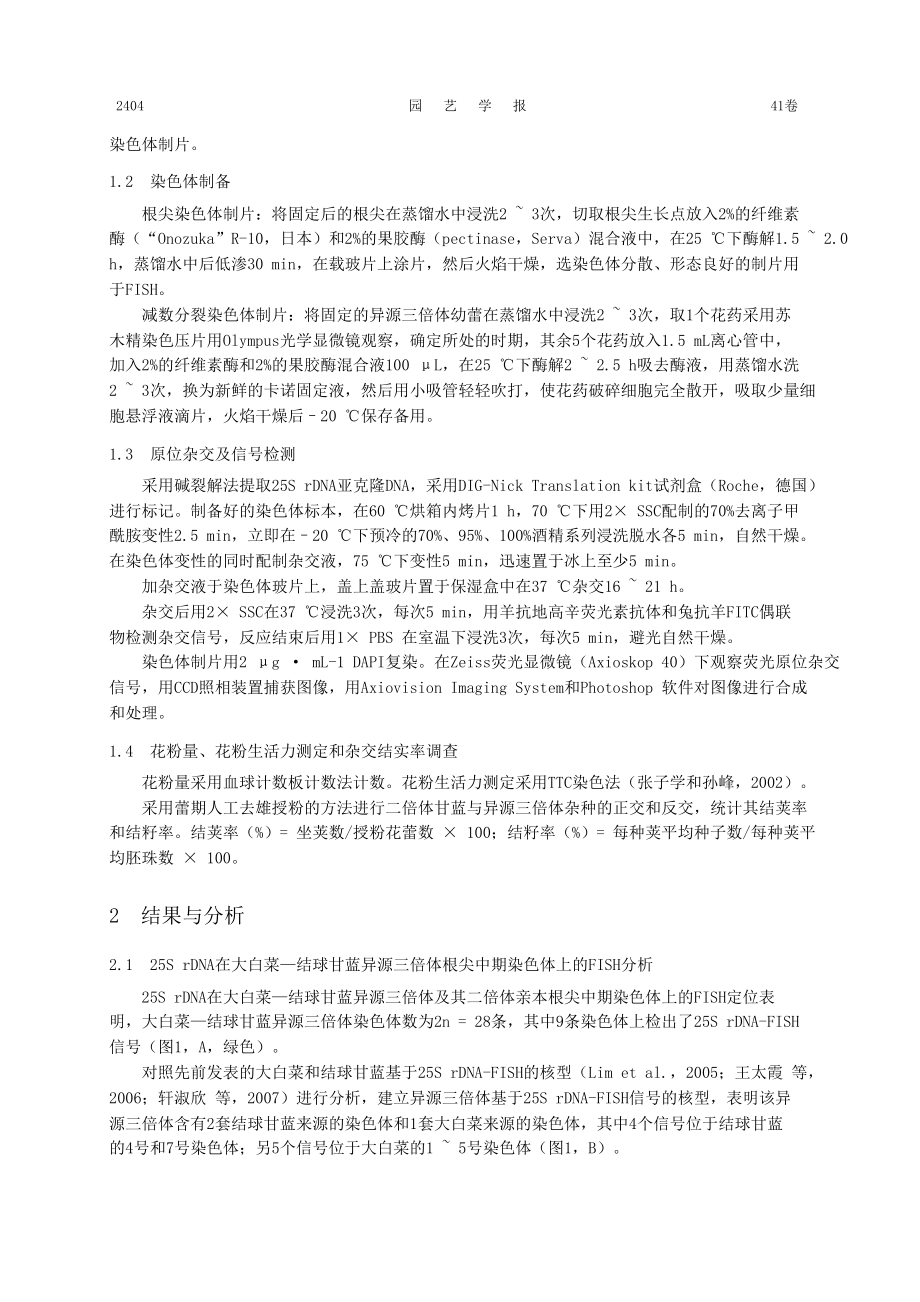 大白菜结球甘蓝异源三倍体（ACC）基于25S+rDNA的FISH分析.doc_第3页