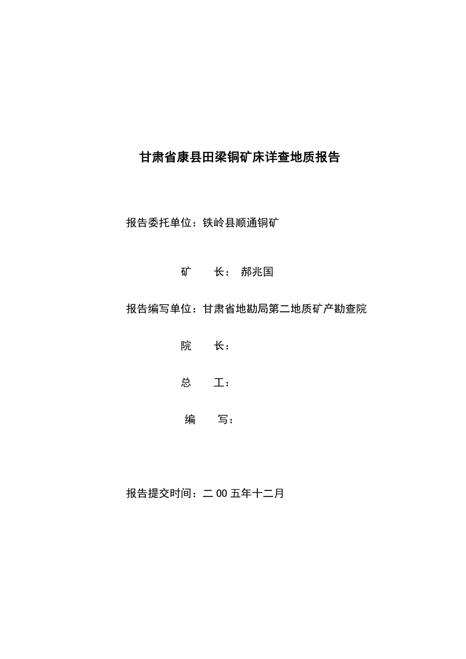 甘肃省康县田梁铜矿详查报告.doc_第2页