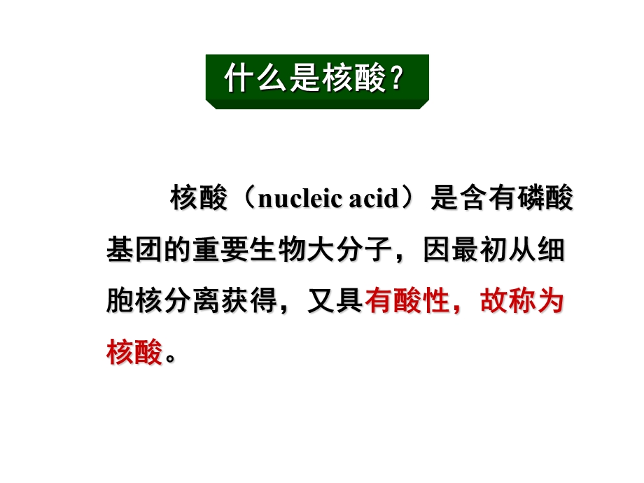 第10章 DNA的生物合成课件.ppt_第2页